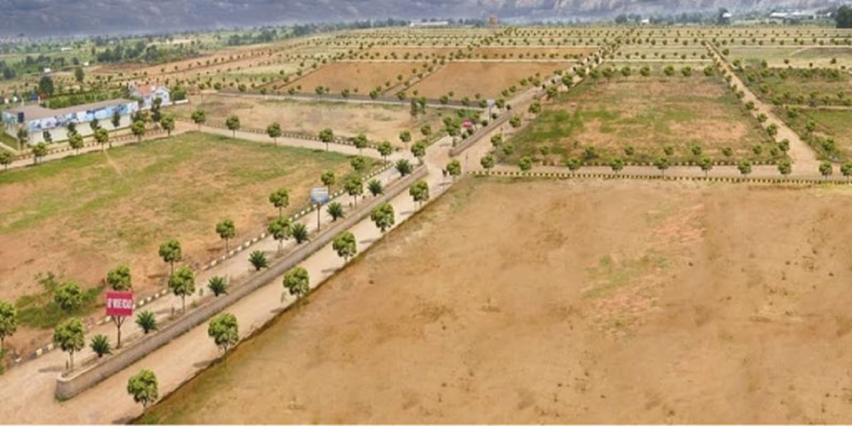 Panoramic view of Spiti Homes DDJAY 99A landscape